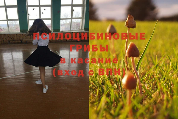 кокаин перу Новодвинск